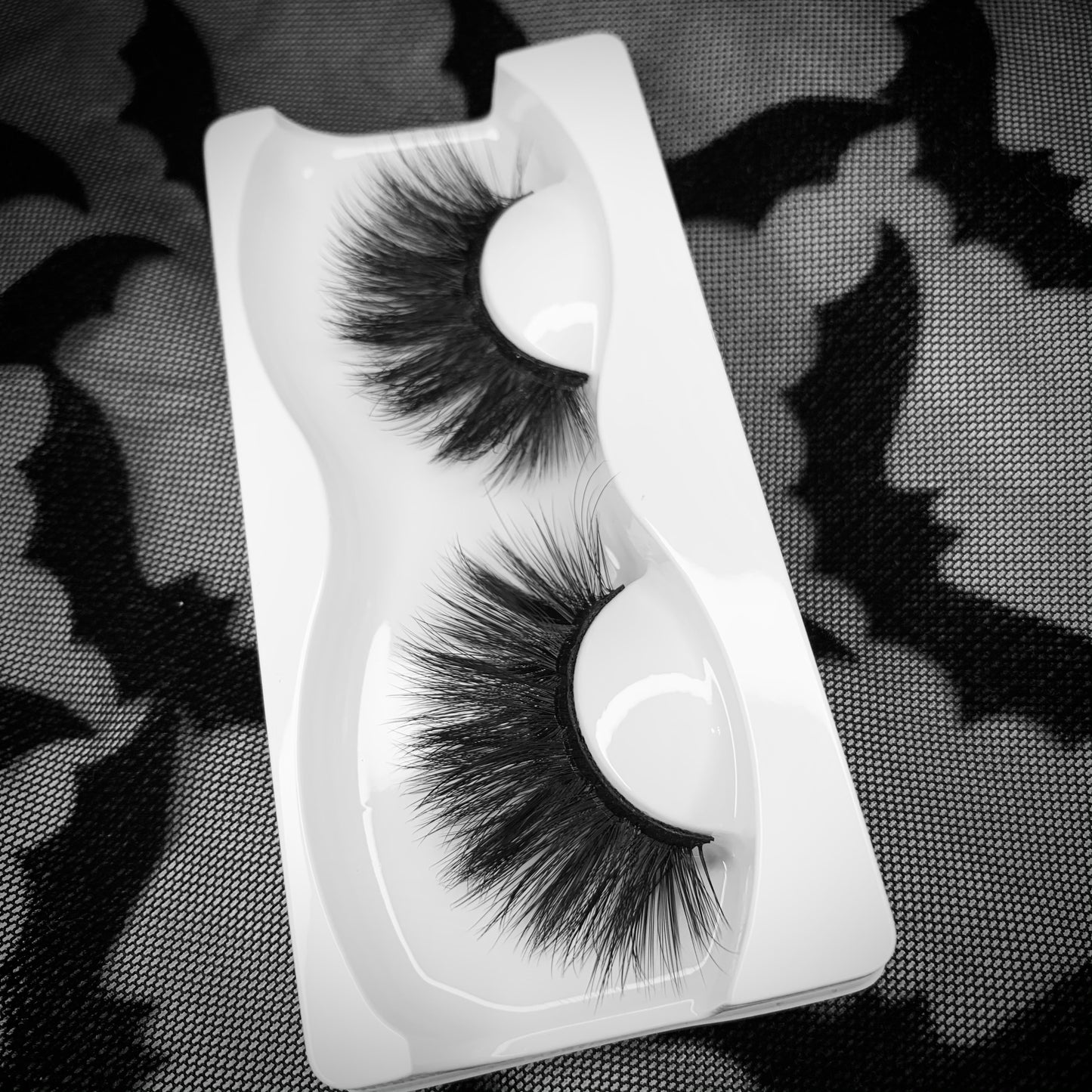 Nocturnal Lashes